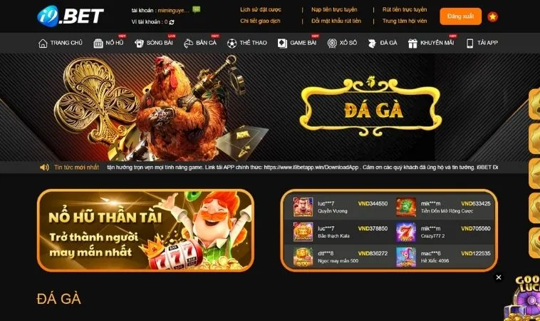 Đá Gà Tại i9BET - Cổng Cược Trực Tuyến Hàng Đầu Việt Nam 1 Sảnh Đá Gà Tại i9BET thiết kế giao diện đẹp, chuyên nghiệp