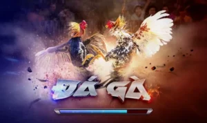 Hướng Dẫn Chi Tiết Cách Chơi Đá Gà 3D Tại i9BET Hiệu Quả Nhất 4 Đá Gà 3D tại i9BET