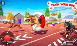 Bí Quyết Chơi Game Đua Chó Tại i9BET Hiệu Quả 5 Đua Chó tại i9BET